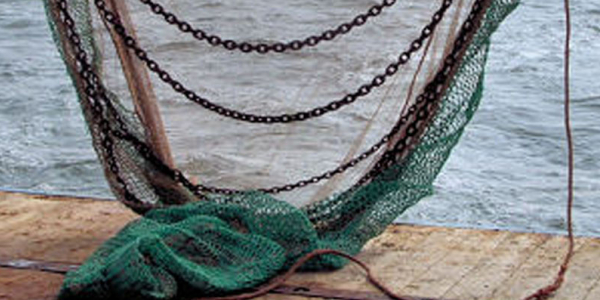 Nets, trawls and dredges - NIOZ