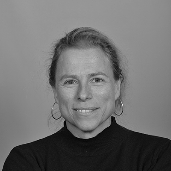 Prof dr S.J.M.H. (Suzanne) Hulscher