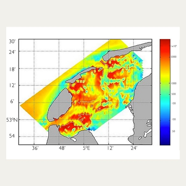 Macrobenthos Distribution