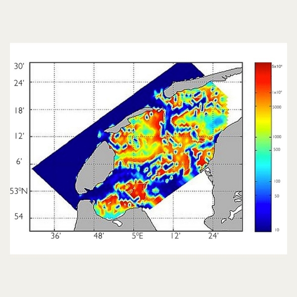 Macrobenthos Distribution