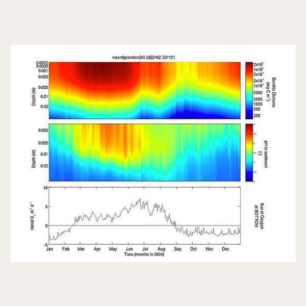 Benthic Diatom Dynamics