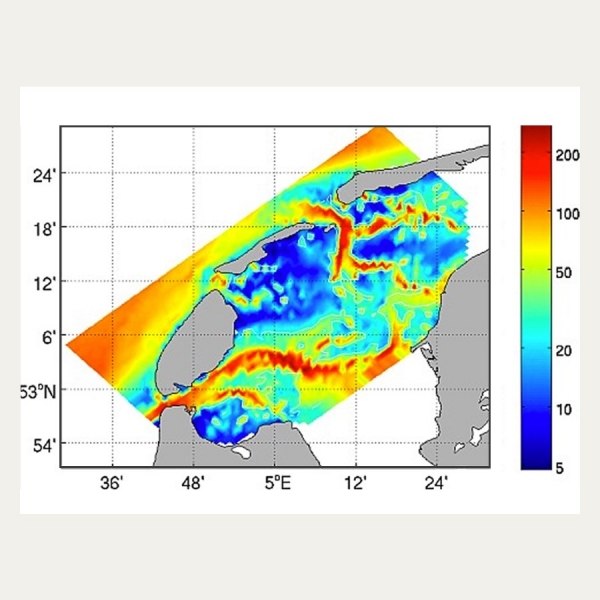 Net Bacterial Production