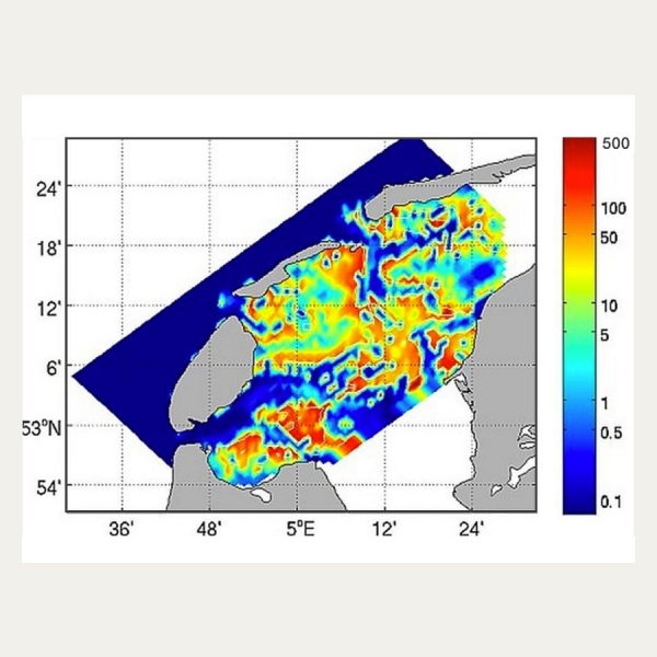 Net Secondary Production