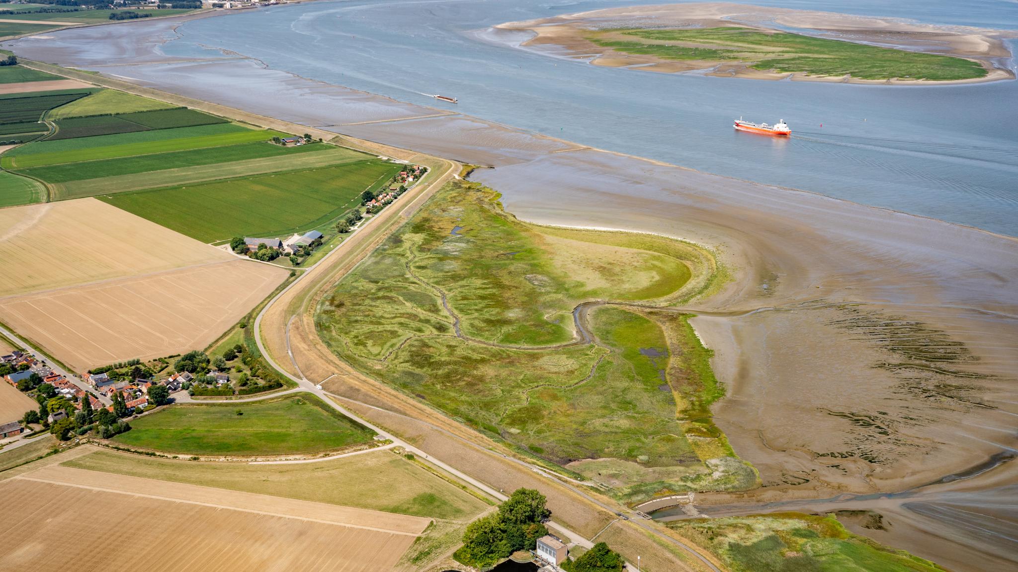 Drone image of salt marsh, mudflat and waterway in the Western Scheldt