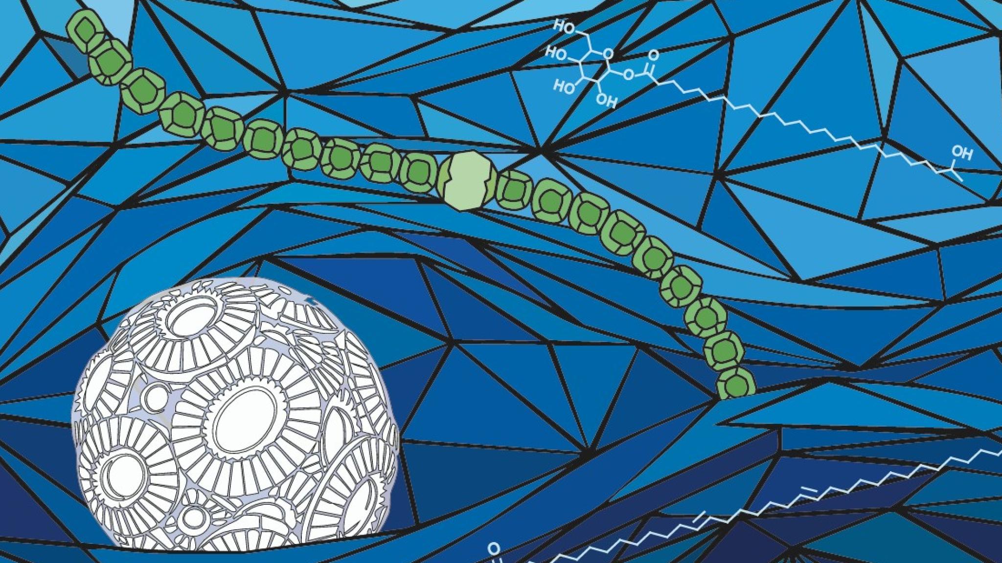 artist impression of molecules and organisms in the sea