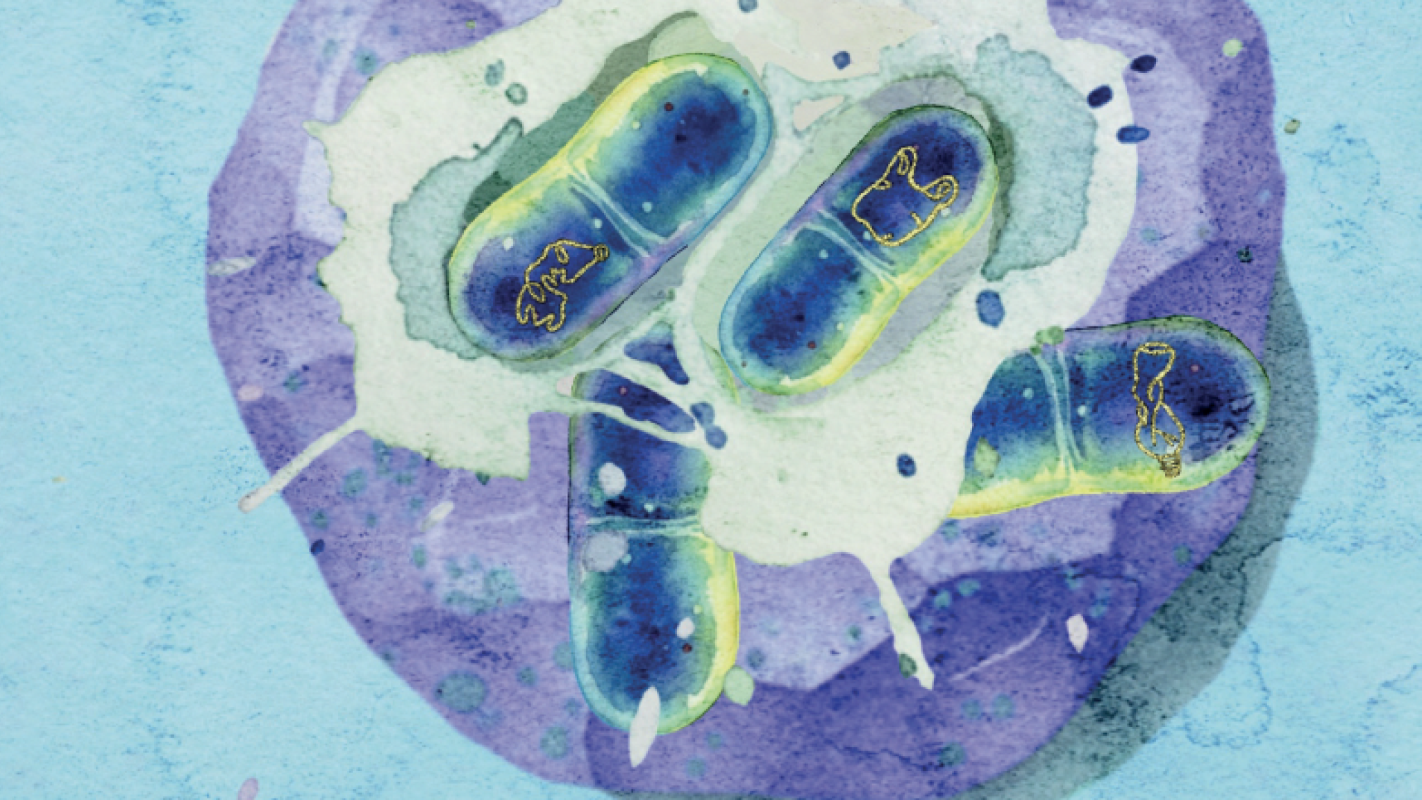 An illustration of a microbial community with nanoplastics 