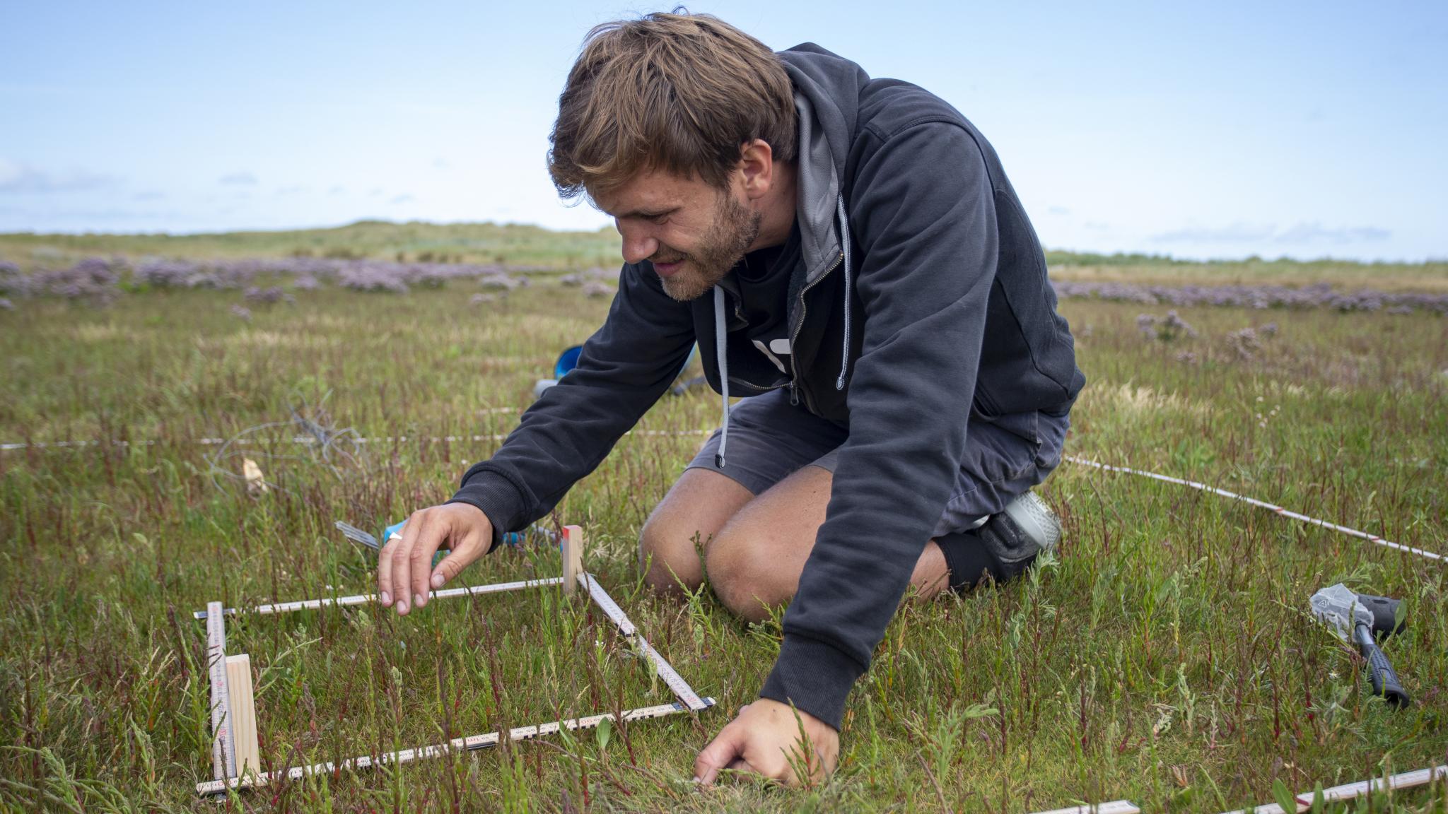 Floris van Rees on his knees to measure plants