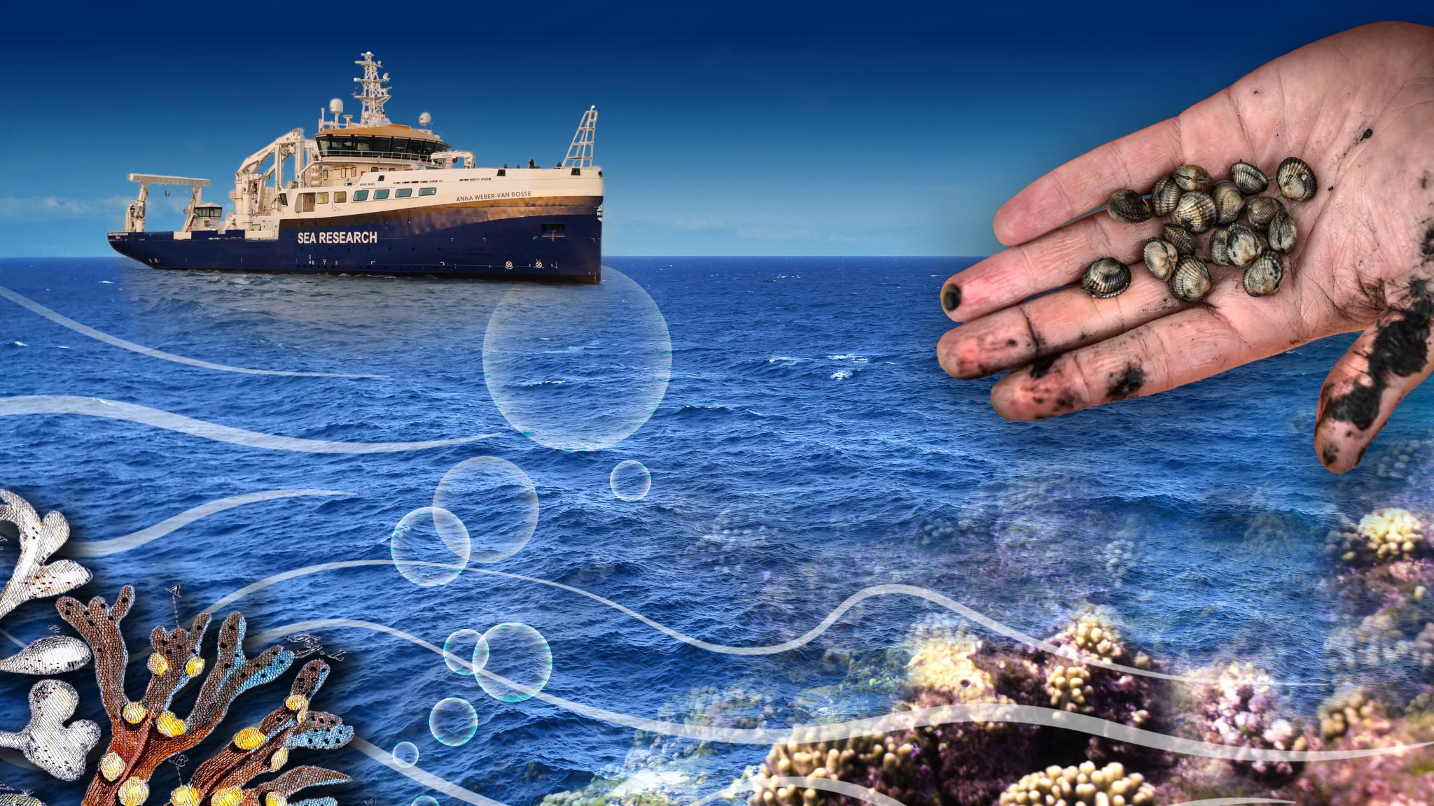 Poster image van de nationale ocean science conference met schip en shelp geanimeerd
