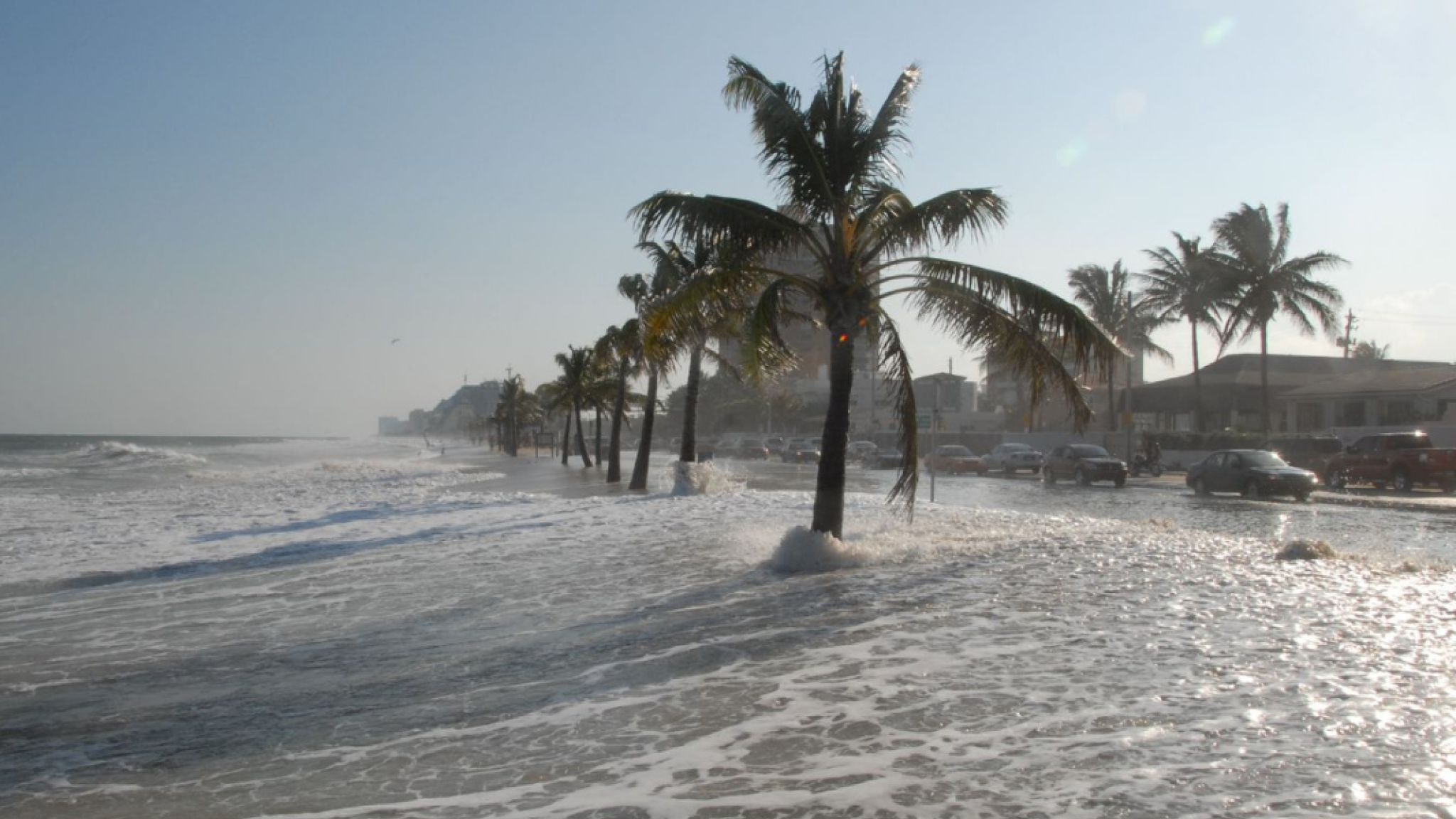 Palmbomen staan langs de kust van Fort Lauderdale, terwijl zeewater en golven over de boulevard spoelen. Op de achtergrond zijn onder een heldere hemel auto’s en gebouwen langs de kustlijn te zien.