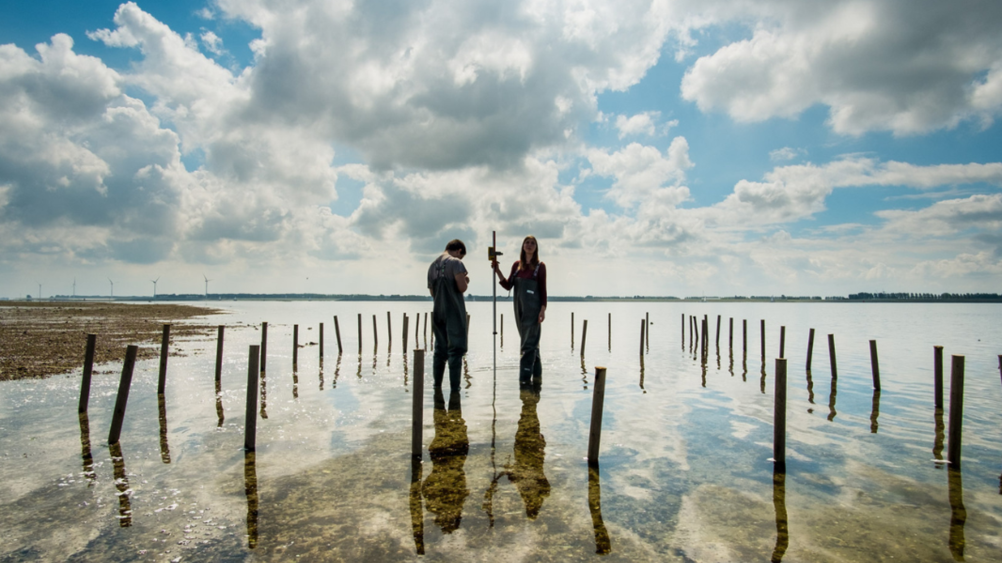 Two researchers stand in shallow water in the Oosterschelde, setting up a large-scale field experiment. One operates surveying equipment while rows of wooden stakes mark the experimental plots beneath a dramatic sky reflected in the calm water.