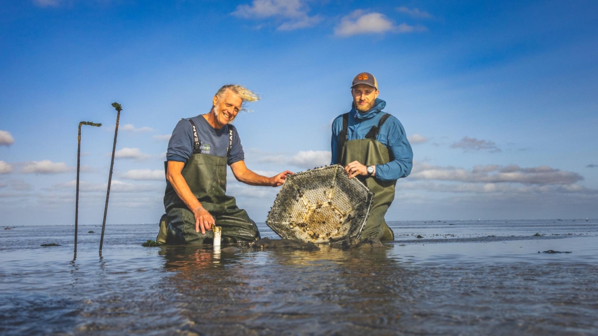Twee personen tonen een kunstmatig rif