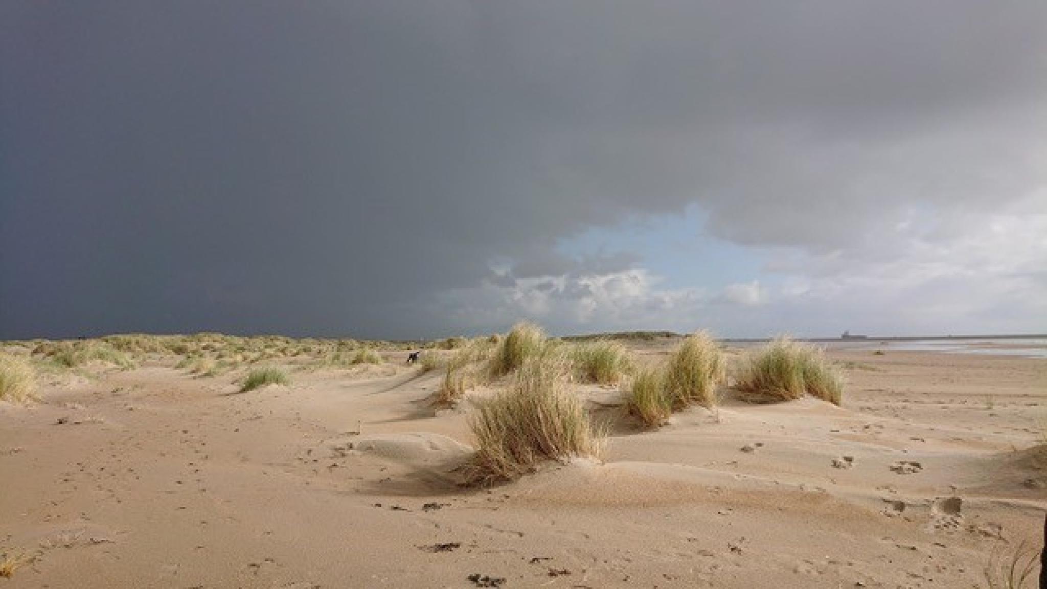 Sand dunes with beach grass under a threatening dark sky.