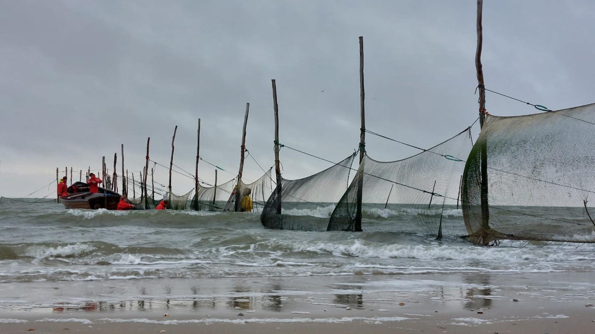 Fish fyke nets set up in the sea along the beach under a cloudy sky.