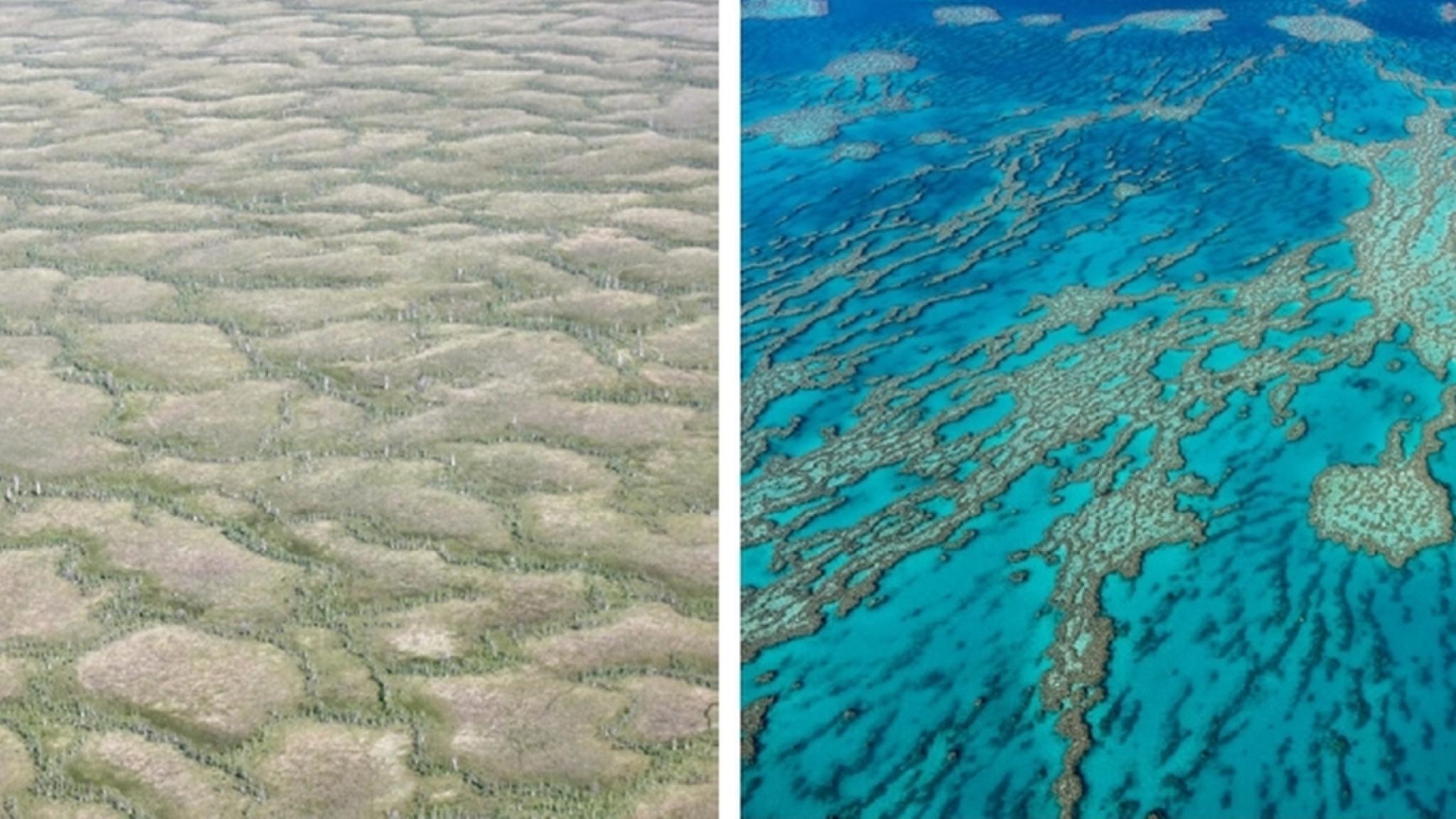 Twee beelden naast elkaar: links patronen in ondiep sediment, rechts een luchtfoto van een rifstructuur in helderblauw water.