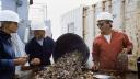 Three people with hardhats and overalls standing next to a sorting table on the deck of a ship. On the table, a large bucket with shellfish and starfish is emptied for the researchers to sort.