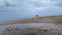 A Chase Drifter (left) and MetOcean Drifter (right) floating in a Sargassum patch, with research vessel RV Pelagia in the background.