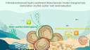 A graphical abstract of oysters and their dynamics