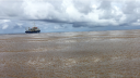 Large floating field of Sargassum in the Atlantic Ocean with research vessel RV Pelagia in the background under dark clouds.