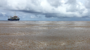 Large floating field of Sargassum in the Atlantic Ocean with research vessel RV Pelagia in the background under dark clouds.