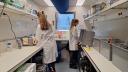 Two researchers in a shipboard laboratory sorting and processing samples to trace infection pathways between microorganisms at sea.
