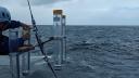 a photo of drifting traps being retreived at sea with pilot whales