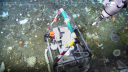An incubation chamber is placed over a sponge at the ocean floor
