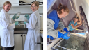 Links zie je twee jonge vrouwen in witte laboratoriumjassen die apparatuur schoonmaken, rechts zie je een onderzoeker met blauwe handschoenen die monsters in een grote waterbak doet