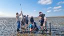 werken op de wadden