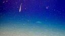 an eel in the deep