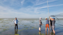 Vijf onderzoekers staan in ondiep water en brengen grote visnetten in gereedheid voor de nachtelijke vangst.