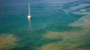 A sailboat seen from the sky, sailing over blue water with green-yellowish clouds in it. Those clouds are actually areas with an abundance of phytoplankton