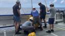 Five people wearing safety helmets securing a yellow buoy onboard a research vessel