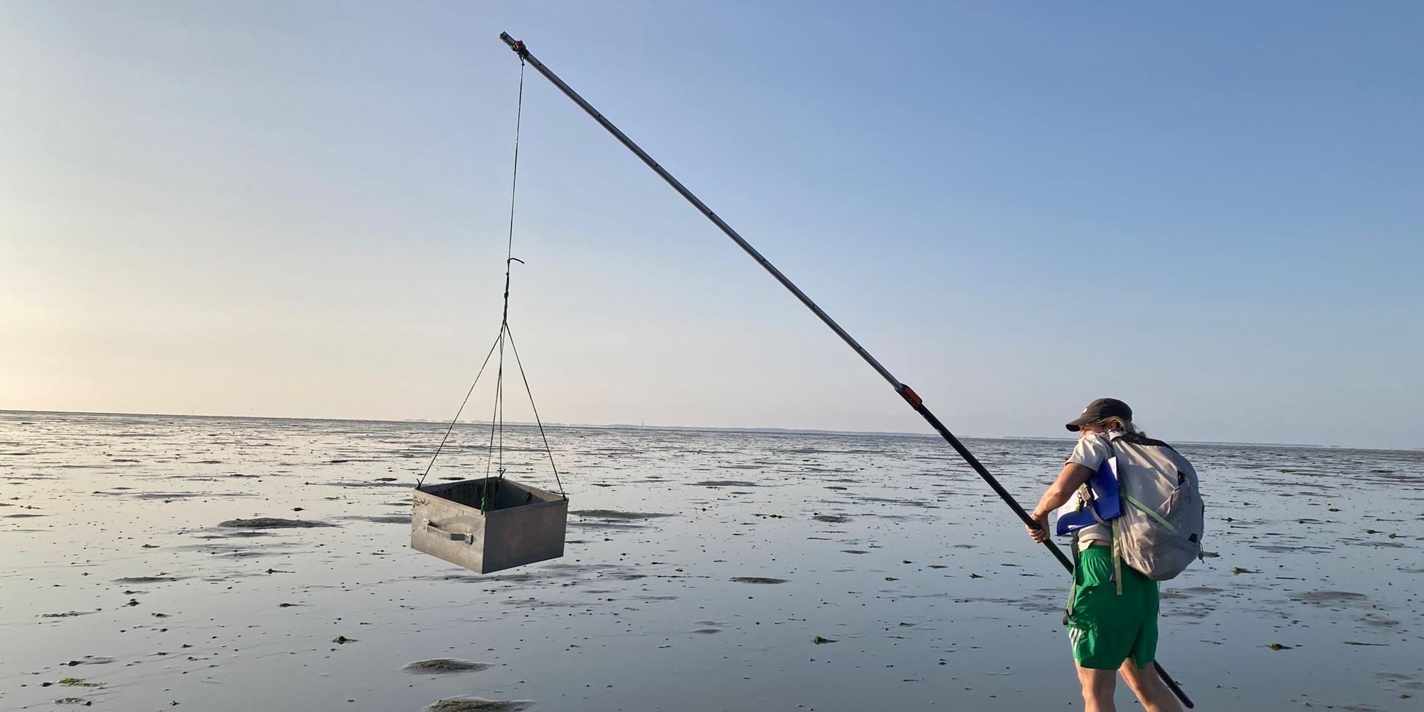 Person (Julia) standing on a mudflat, swinging a metal sampling tray suspended from a long pole. She is wearing a cap, backpack, green shorts, and rubber boots, collecting a sample during low tide under a clear sky.