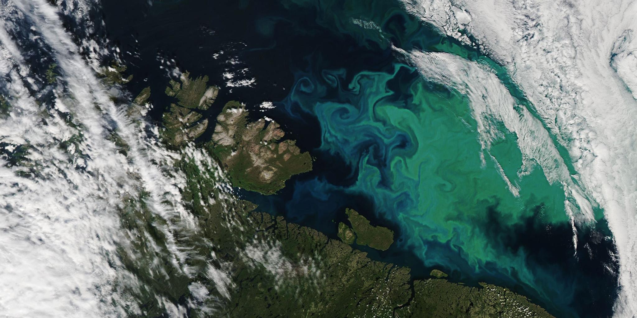 A sattelite photo showing land and darkblue sea, with a light green swirly patch in the sea