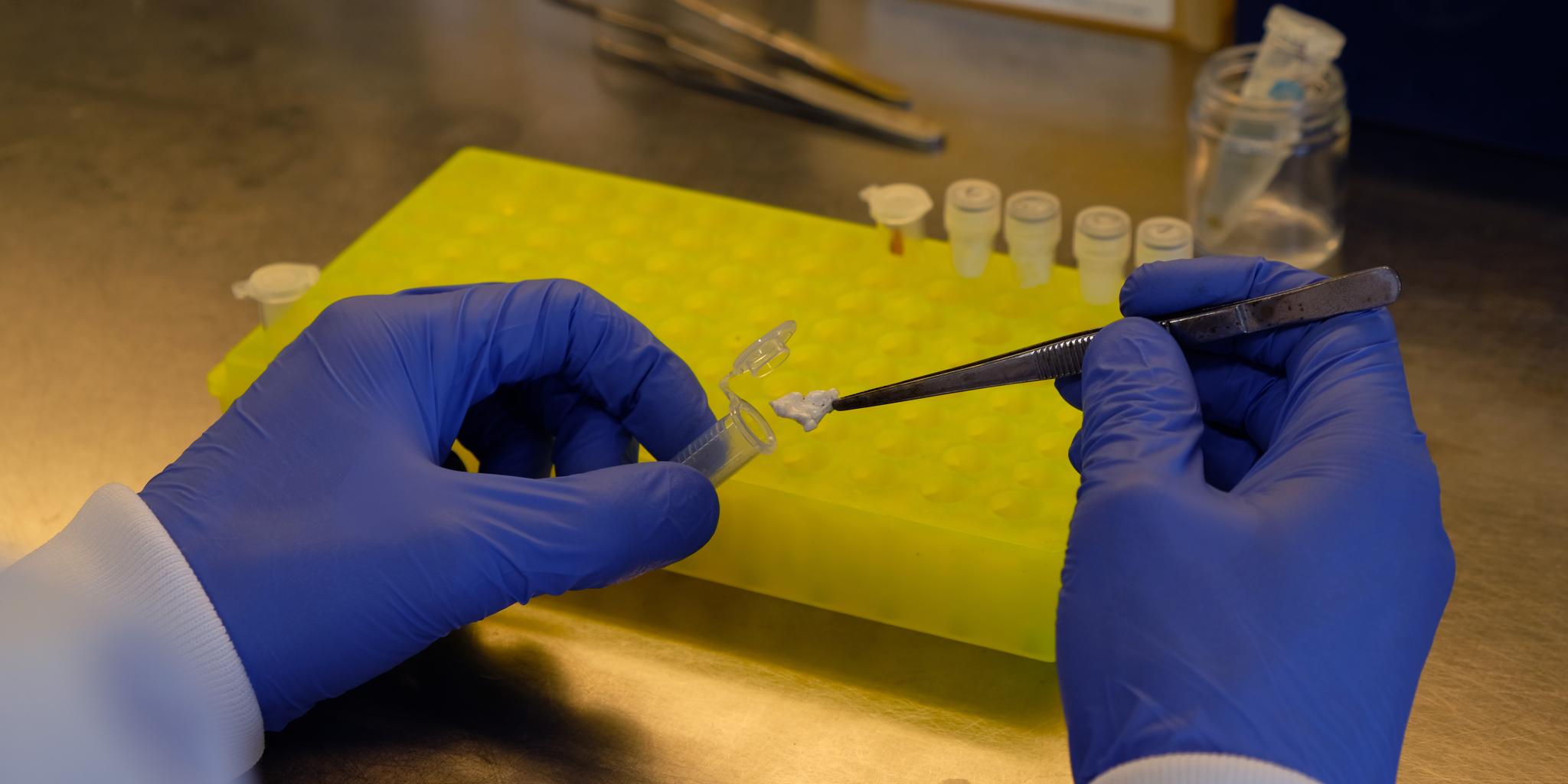 Twee handen die pincetten gebruiken om een stukje microplastic uit een buis te halen voor onderzoek. Op de achtergrond zie je een onderzoekstafel met meerdere buizen.