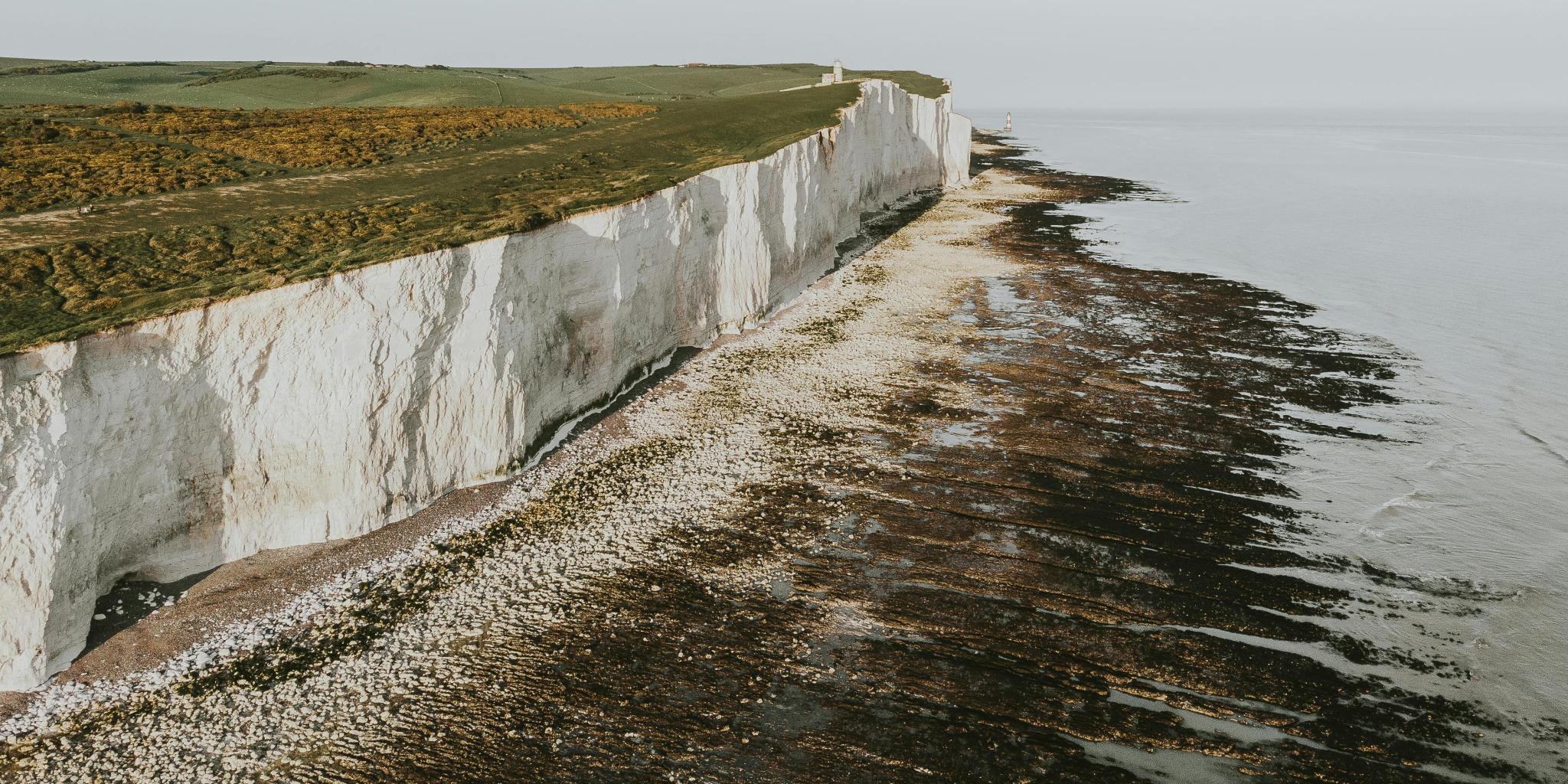 The cliffs of Dover, formed in the geological period of the Cretaceous, up to 65 million years ago, which also was a period of high atmospheric CO2 (photo: Pexels/Jack Redgate)