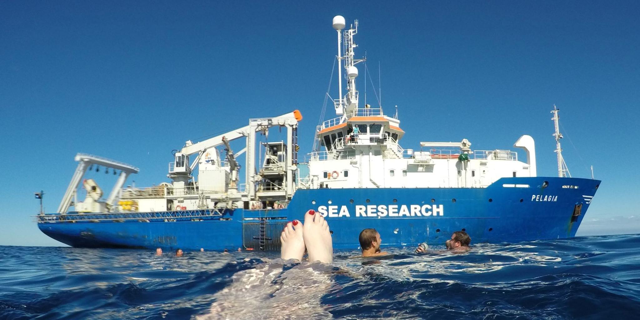 People swimming on open sea on a sunny day, with the Pelagia in the backdrop