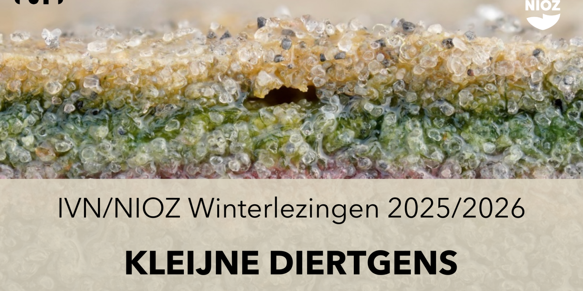 Cover poster of the 2025-2026 NIOZ winter reading about "little creatures' (Kleijne Diertgens) showing colored sand granules