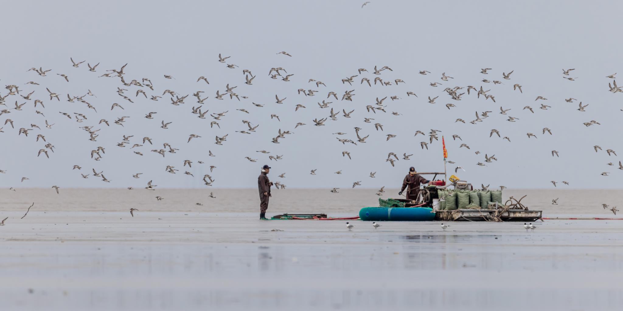 Vliegende vogels en schelpdierenvissers op een wad