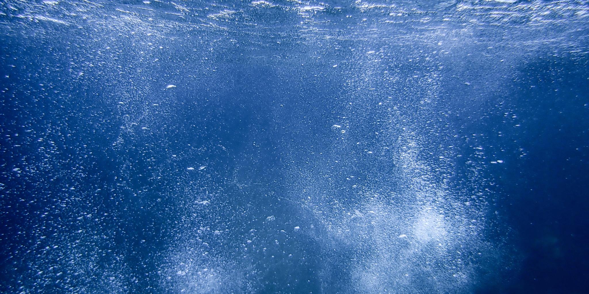 Underwater image of the water column with bubbles rising to the surface
