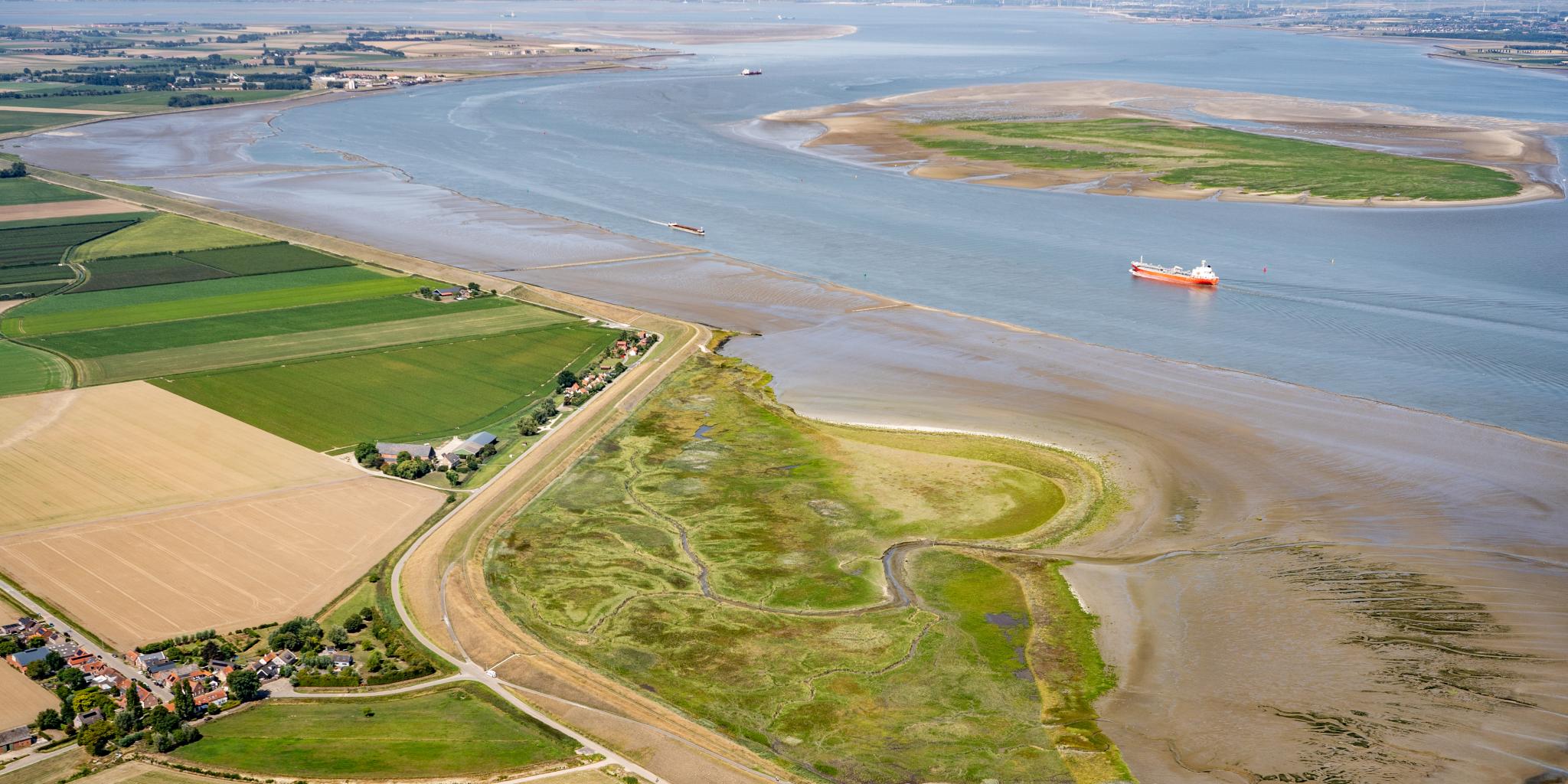 Drone image of salt marsh, mudflat and waterway in the Western Scheldt
