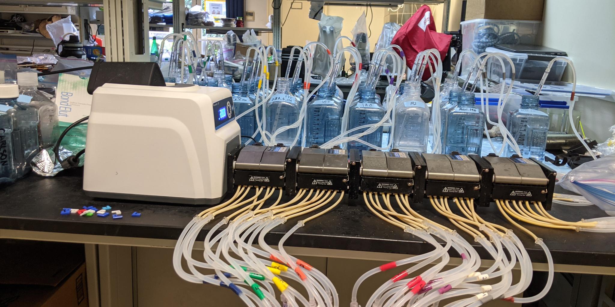 laboratory setup