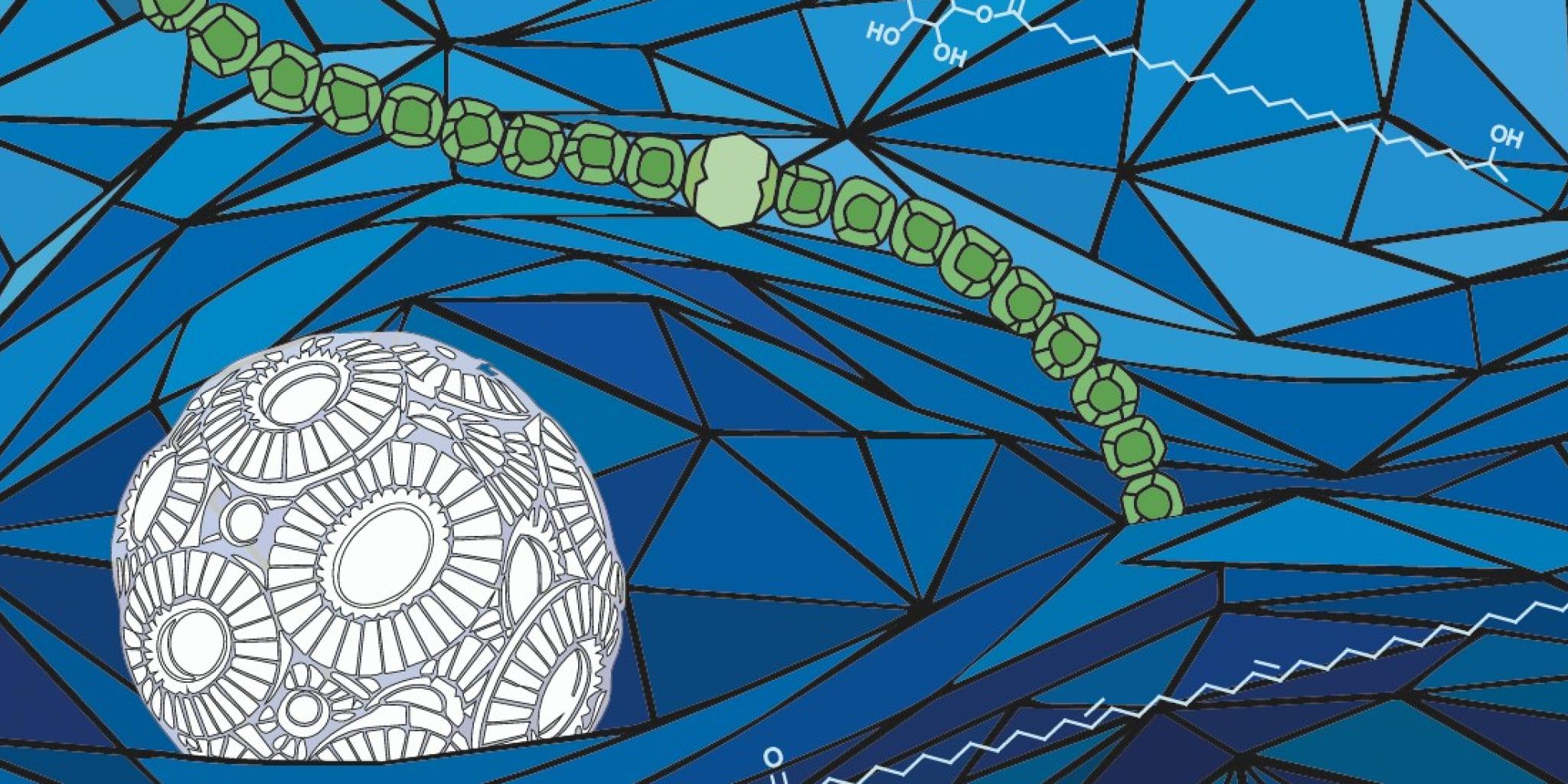 artist impression of molecules and organisms in the sea