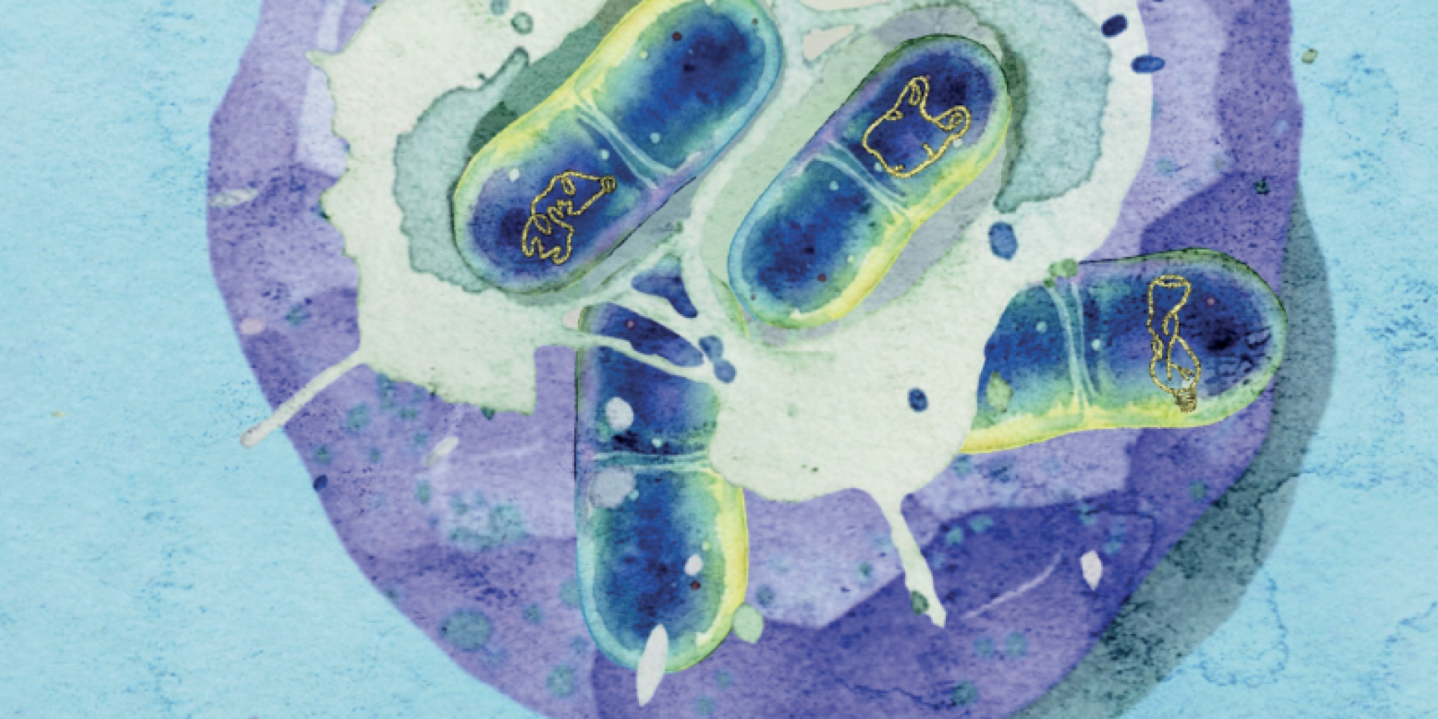 Een illustratie van een microbioom op de plastisphere