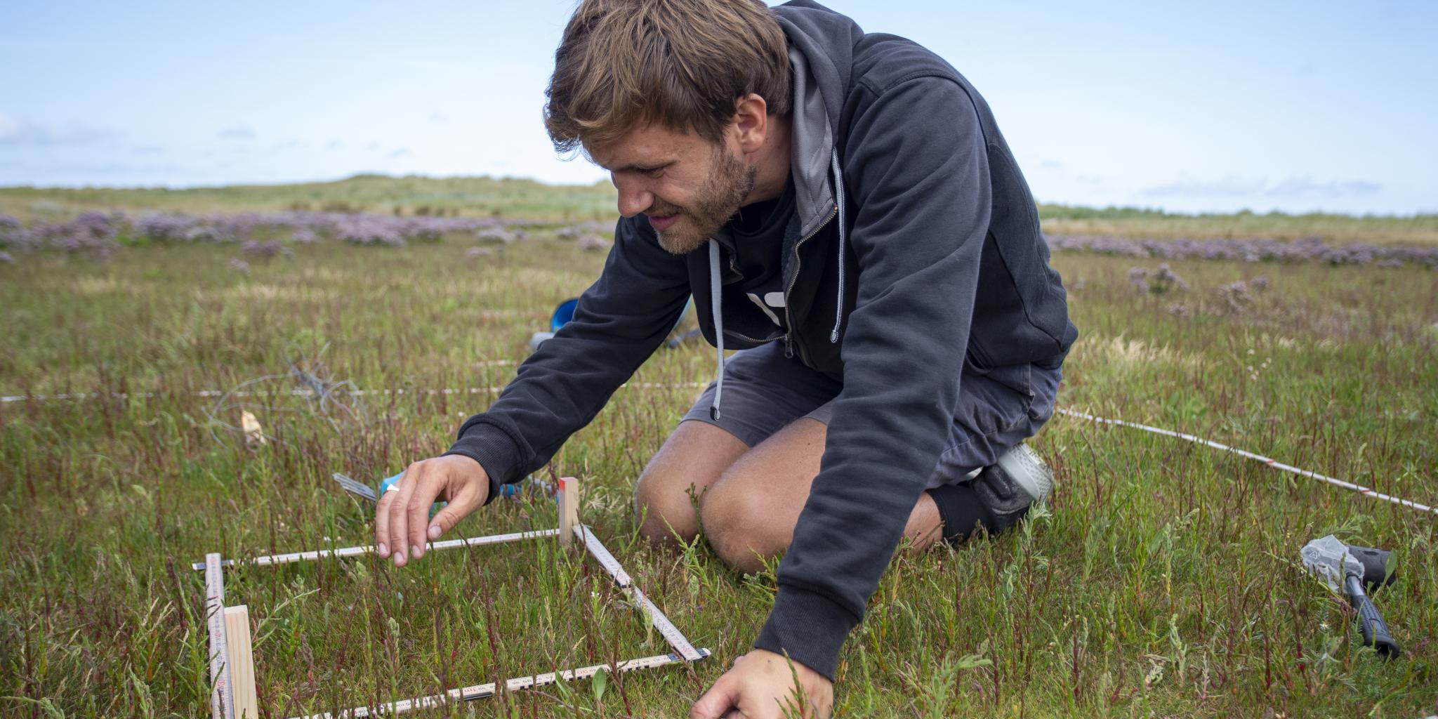 Floris van Rees on his knees to measure plants