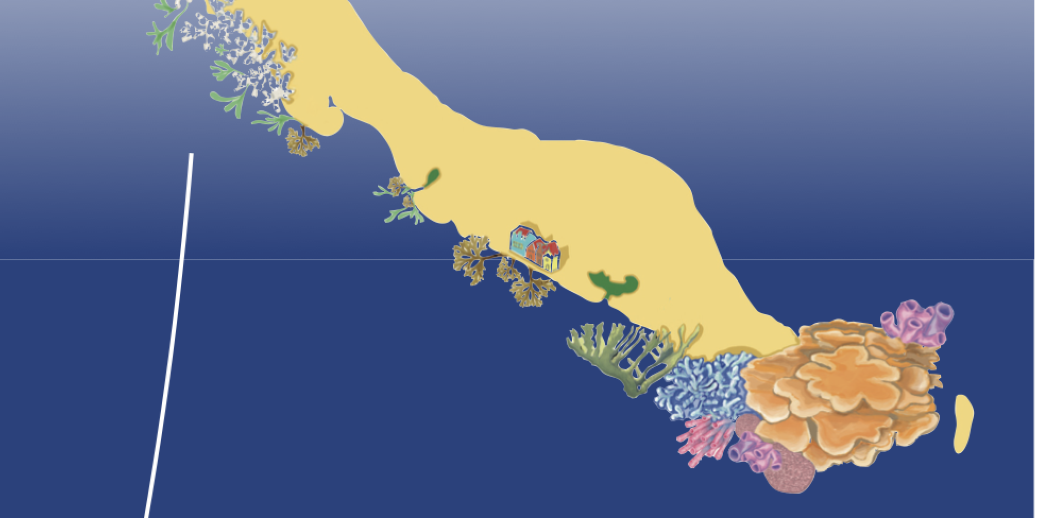 A screenshot of the thesis cover, showing the title and author, and a illustration of a reef in the shape of Curaçao with corals and sponges growing from its coastline