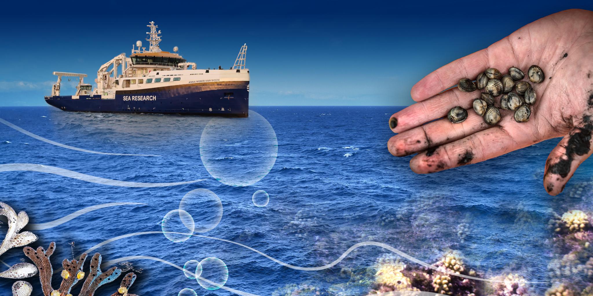 Poster image van de nationale ocean science conference met schip en shelp geanimeerd