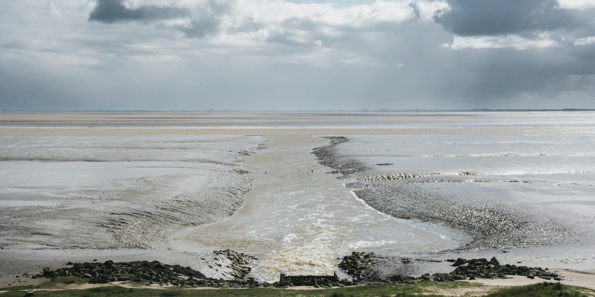 Expansive mudflats merging with the sea under dramatic clouds, showcasing nature's beauty.