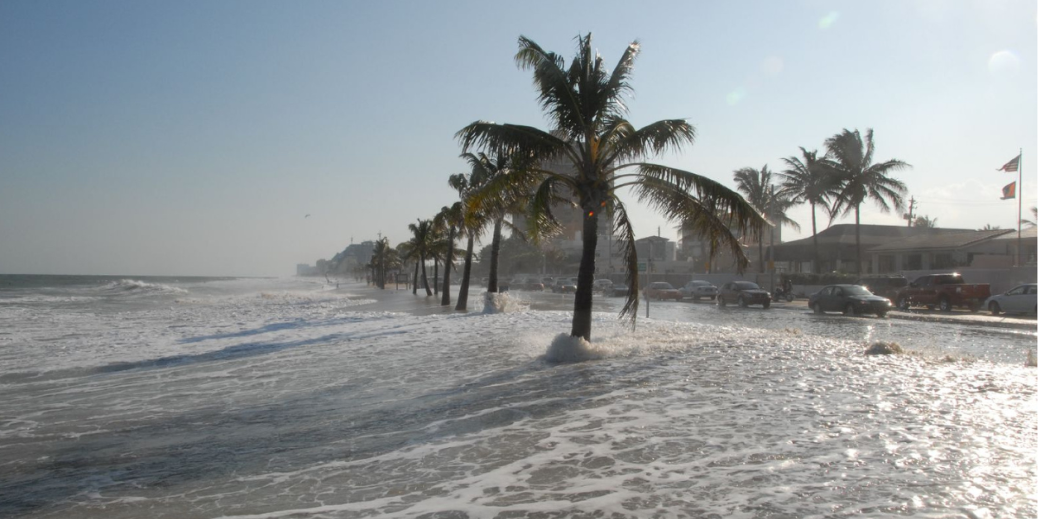 Palm trees line the coast of Fort Lauderdale as seawater and waves wash over the boulevard. Cars and buildings can be seen along the shoreline under a clear sky in the background.