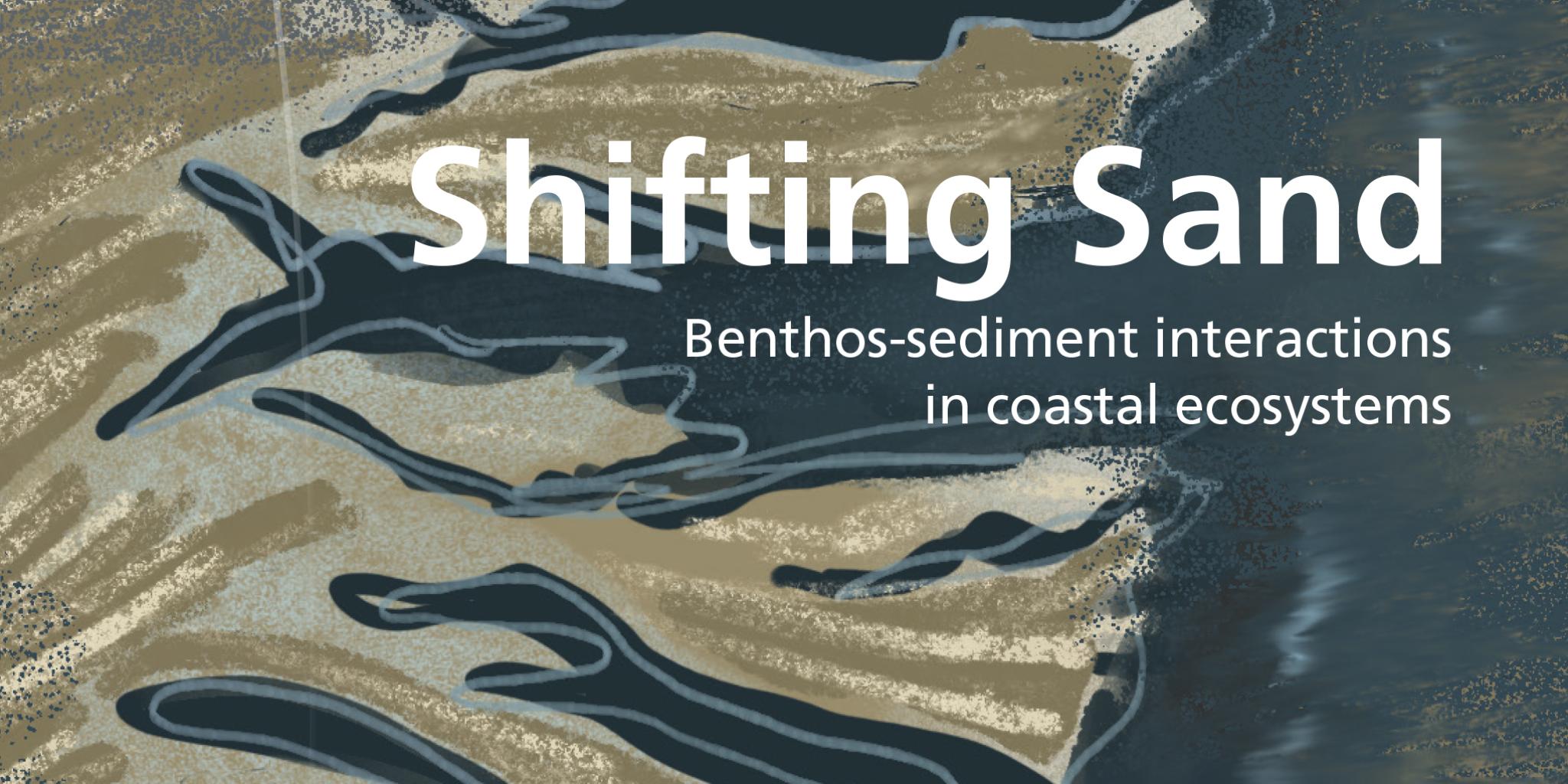 Book cover with an illustration depicting a shoreline, with multiple lines parallel to it to depict it shifting